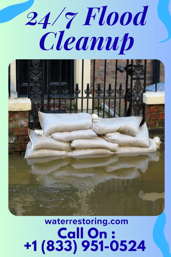 24/7 Flood Cleanup in Penelope, TX