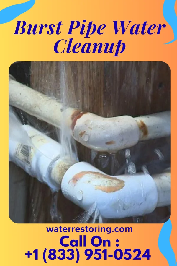 Burst Pipe Water Cleanup in Penelope, TX