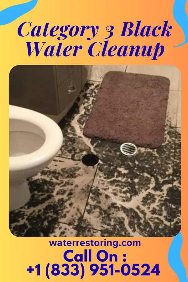 Category 3 Black Water Cleanup in Penelope, TX