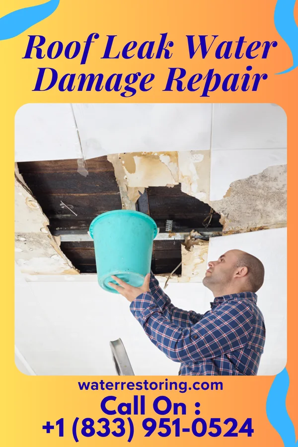 Roof Leak Water Damage Repair in Penelope, TX